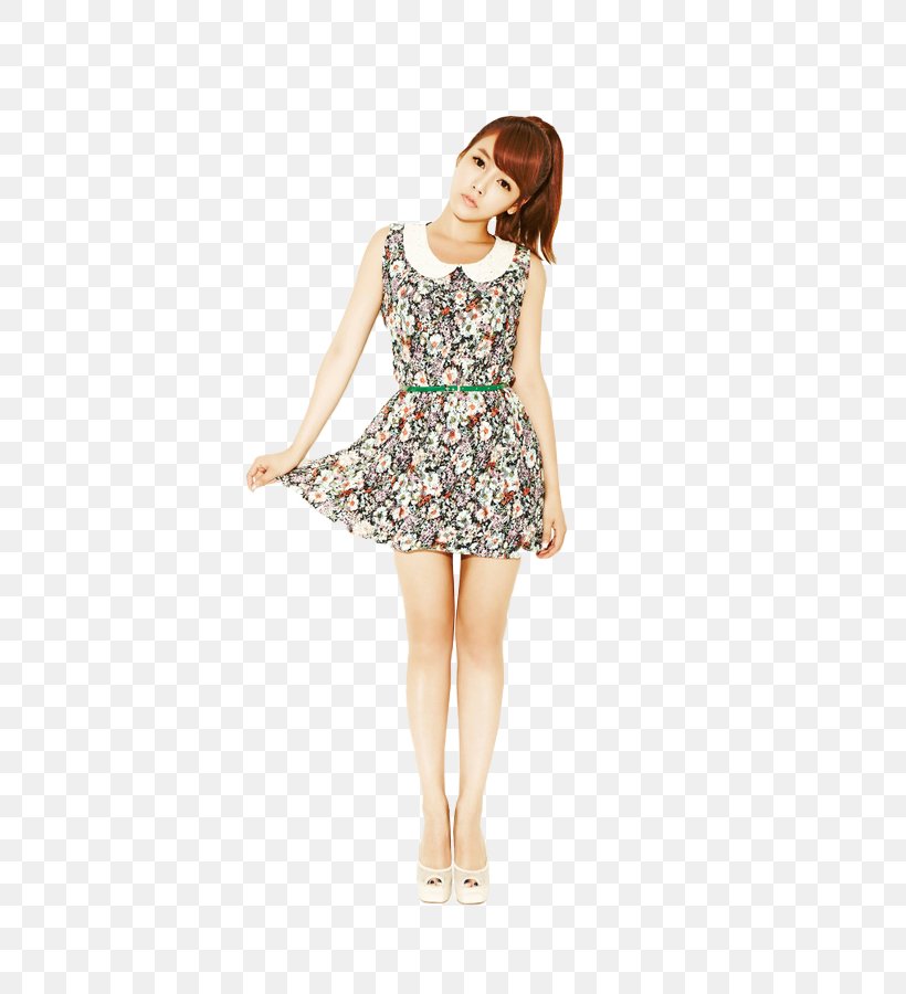 T-ara Musician Gangkiz Art K-pop, PNG, 506x900px, Watercolor, Cartoon, Flower, Frame, Heart Download Free
