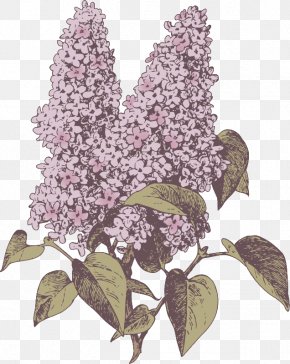 Lilac Flower - Wedding Invitation Photography Fotolia PNG
