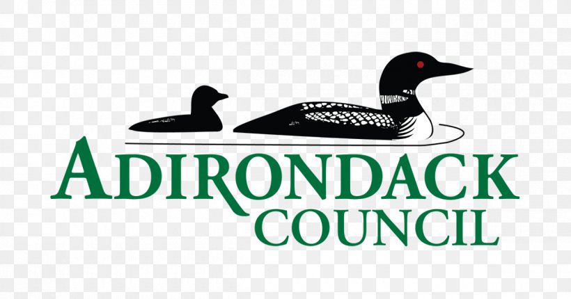 Duck Adirondack Council Logo Advertising Brand, PNG, 1200x630px, Duck, Advertising, Beak, Bird, Black Grouse Download Free