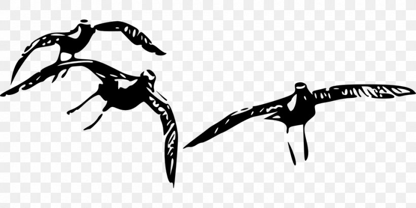 Bird Plover Clip Art, PNG, 960x480px, Bird, American Golden Plover, Art, Beak, Black And White Download Free