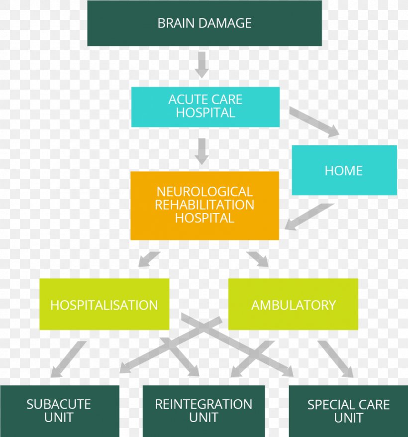 Brain Damage Physical Medicine And Rehabilitation Hospital Neurology, PNG, 898x962px, Brain Damage, Acquired Brain Injury, Area, Brain, Brand Download Free