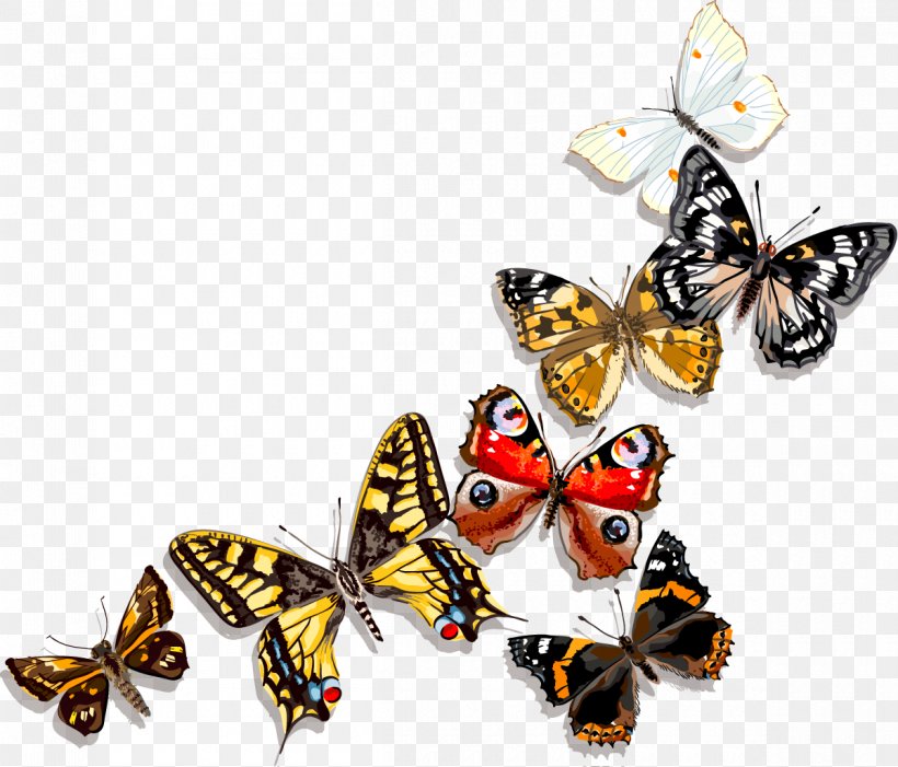Butterfly Painting Clip Art, PNG, 1200x1026px, Butterfly, Art, Arthropod, Brush Footed Butterfly, Butterflies And Moths Download Free