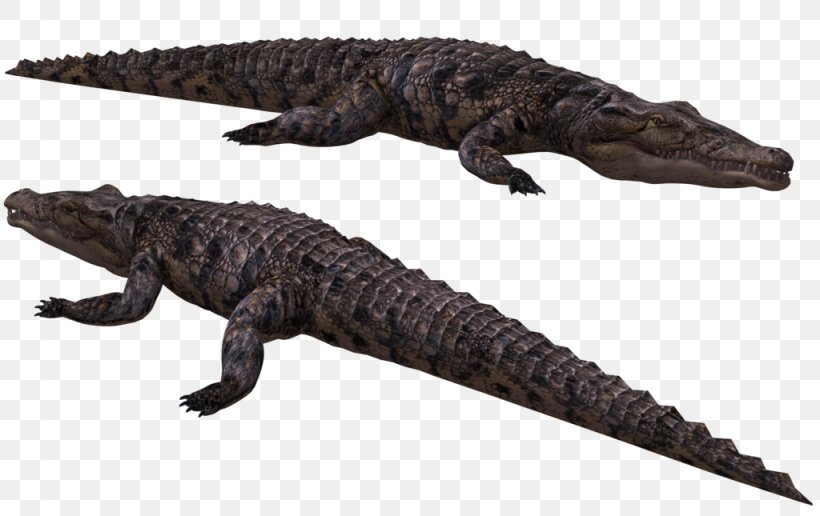 Crocodiles American Alligator Nile Crocodile, PNG, 1024x645px, 3d Rendering, Crocodiles, Alligator, American Alligator, Animal Figure Download Free