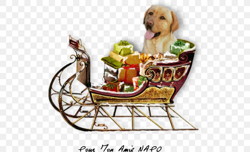 Dog Food Basket, PNG, 517x500px, Dog, Basket, Dog Like Mammal, Food Download Free