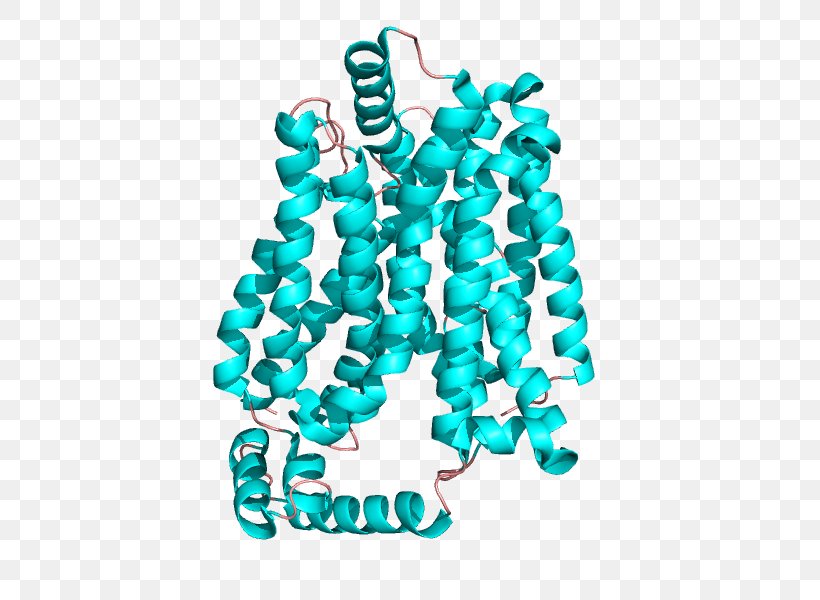 Glut1 Deficiency Glucose Transporter Glucose Uptake GLUT2, PNG, 600x600px, Glucose Transporter, Aqua, Body Jewelry, Cell Membrane, Fashion Accessory Download Free