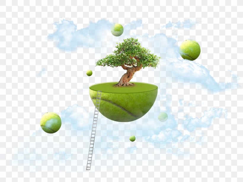 Levitation Island Download, PNG, 1312x984px, Levitation, Google Images, Grass, Green, Island Download Free