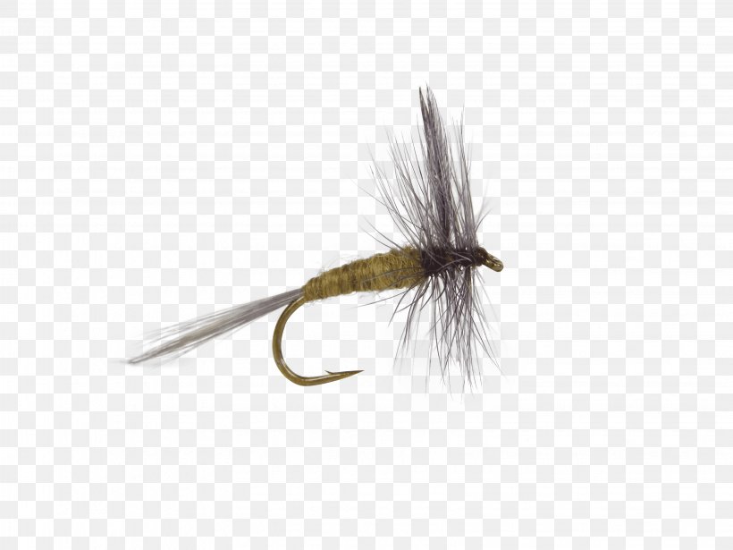 Artificial Fly Emergers Trout Flies: Naturals And Imitations Northern Pike, PNG, 3264x2448px, Fly, Artificial Fly, Bait, Dry Fly Fishing, Fishing Download Free