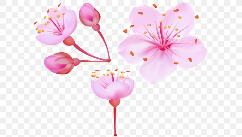 Cherry Blossom Clip Art, PNG, 600x466px, Blossom, Art, Balloon, Cherry, Cherry Blossom Download Free