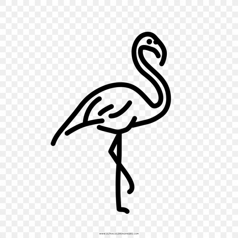 Drawing Coloring Book Discounts And Allowances Black And White Clip Art, PNG, 1000x1000px, Drawing, Beak, Bird, Black And White, Color Download Free