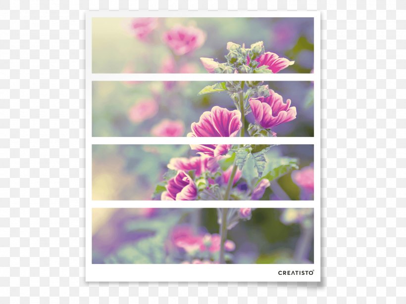 Floral Design Flower Drawer Petal, PNG, 1500x1125px, Floral Design, Creatisto, Drawer, Flora, Flower Download Free