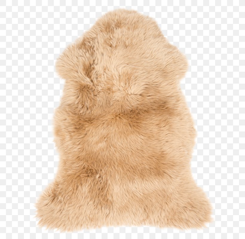 Fur Sheepskin Brown Scandinavia Umber, PNG, 663x800px, Fur, Beige, Brown, Carpet, Color Download Free