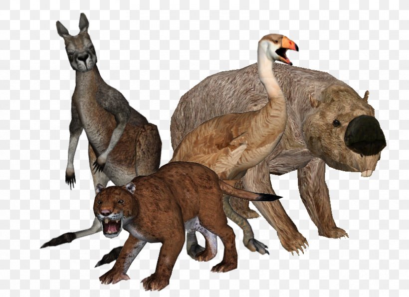Prehistory Of Australia Megafauna Procoptodon, PNG, 832x604px, Australia, Animal, Animal Figure, Extinction, Fauna Download Free