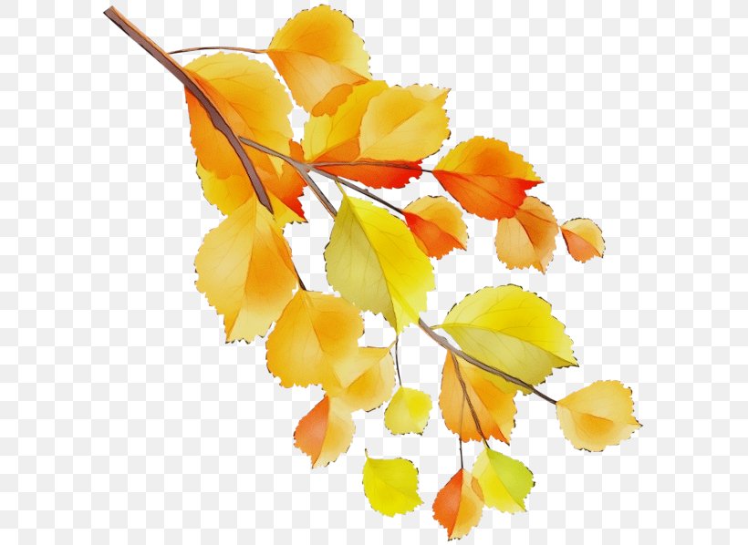 Watercolor Flower Background, PNG, 600x598px, Watercolor, Autumn, Branch, Fall Tree, Flower Download Free