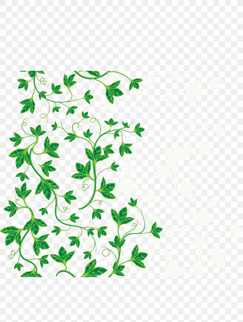 Common Ivy Leaf Vine, PNG, 2407x3188px, Common Ivy, Area, Border, Branch, Drawing Download Free