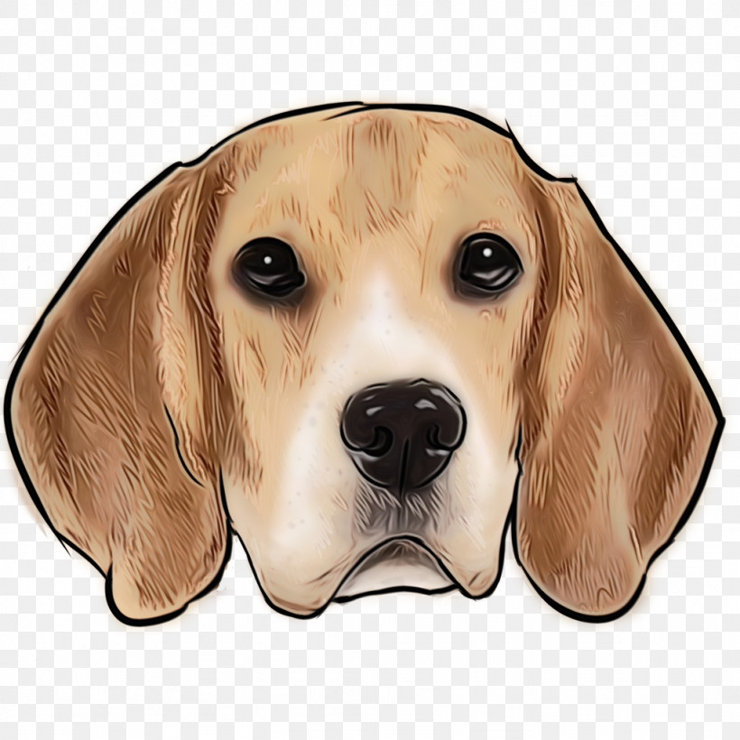 Dog Beagle Snout Harrier American Foxhound, PNG, 1024x1024px, Watercolor, American Foxhound, Beagle, Dog, Harrier Download Free