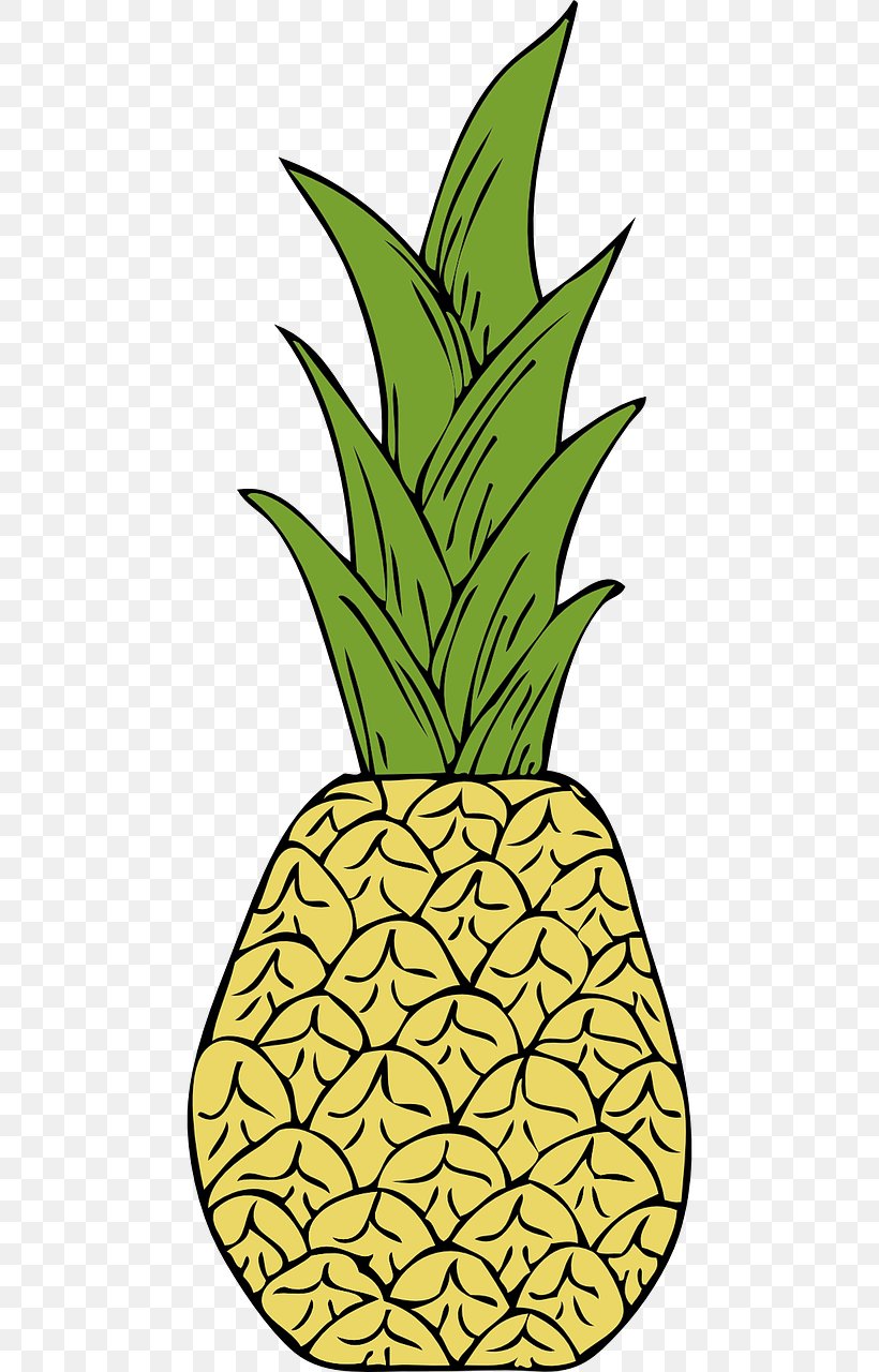 Fruit Salad Pineapple Clip Art, PNG, 640x1280px, Fruit Salad, Ananas, Bromeliaceae, Drawing, Flowering Plant Download Free