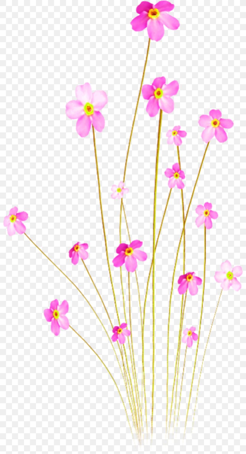 Pink Flowers Peachez, Een Romance, PNG, 800x1509px, Flower, Branch, Cut Flowers, Drawing, Dress Download Free