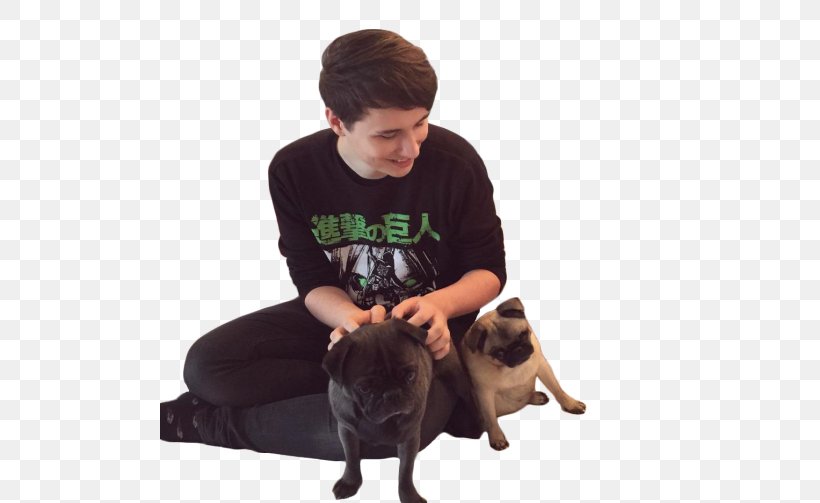 Doug The Pug Dan And Phil The Amazing Book Is Not On Fire YouTube, PNG, 500x503px, Pug, Alfie Deyes, Amazing Book Is Not On Fire, Animal, Carnivoran Download Free