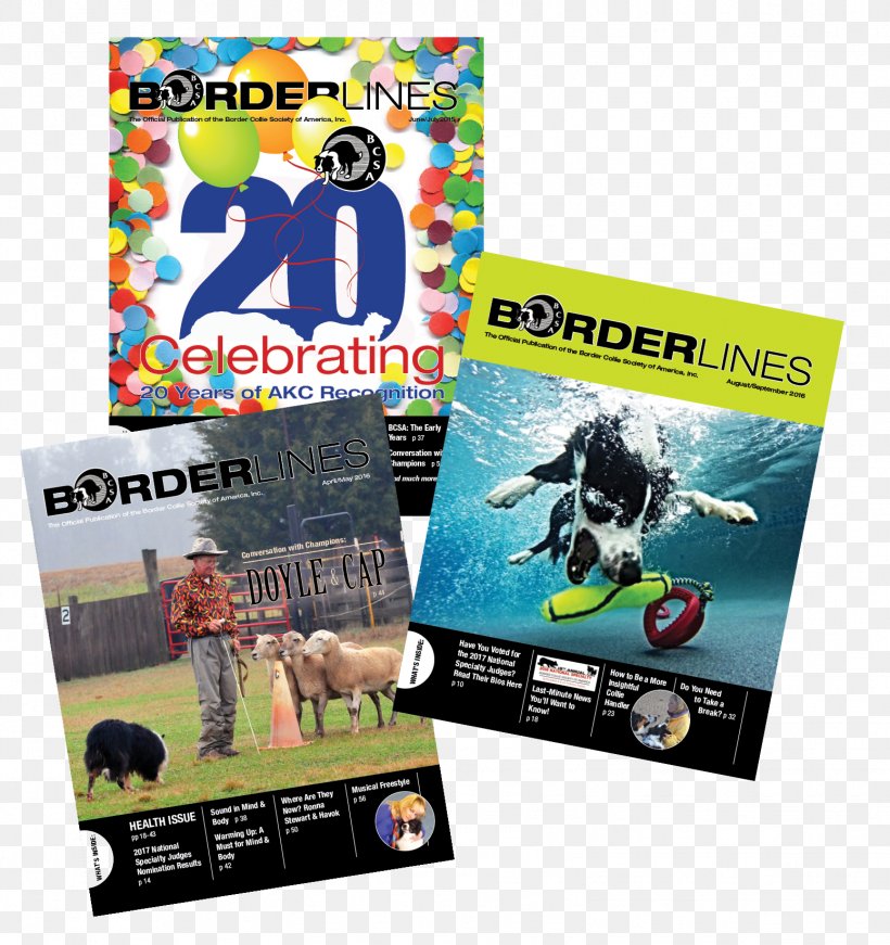 Teen Magazine Seventeen Border Collie Publication, PNG, 1551x1648px, Teen Magazine, Adolescence, Advertising, American Kennel Club, Border Collie Download Free