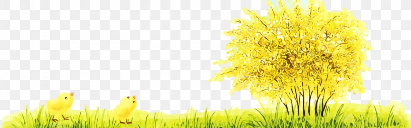 Yellow Grass Dandelion Dandelion Plant, PNG, 2000x626px, Watercolor, Dandelion, Flower, Grass, Grass Family Download Free