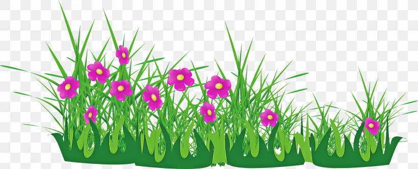 Flower Border Flower Background, PNG, 2000x810px, Flower Border, Flower, Flower Background, Grass, Grass Family Download Free
