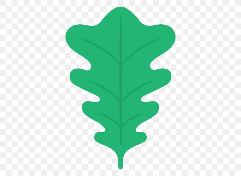 Illustration Leaf Tree Plants Vector Graphics, PNG, 600x600px, Leaf, Cyclobalanopsis, Data, Flower, Green Download Free
