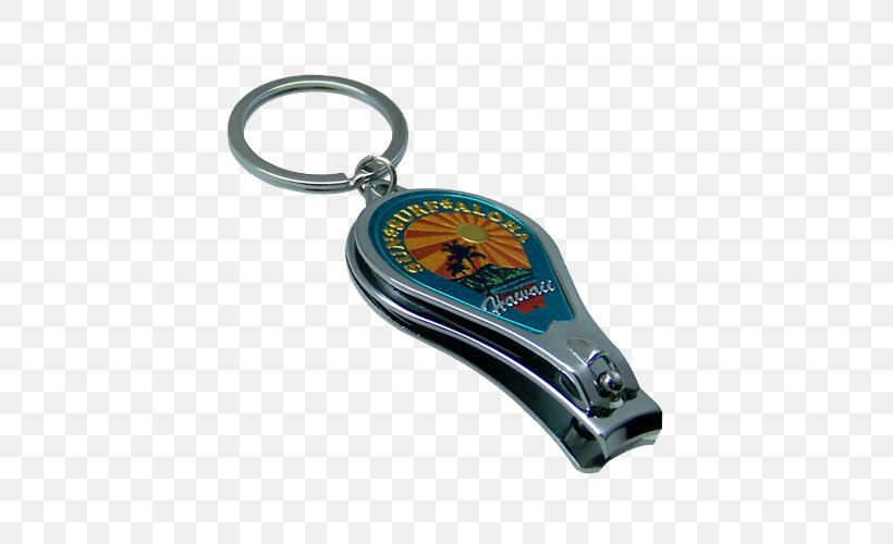 Key Chains KC Hawaii Turtle, PNG, 500x500px, Key Chains, Chain, Fashion Accessory, Hardware, Hawaii Download Free