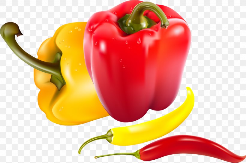 Vegetable Bell Pepper Capsicum Grocery Store, PNG, 1500x994px, Vegetable, Allspice, Bell Pepper, Bell Peppers And Chili Peppers, Capsicum Download Free