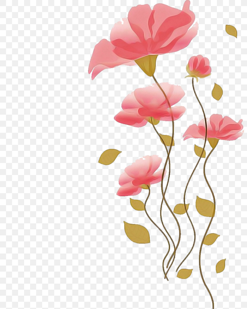 Floral Design, PNG, 800x1024px, Floral Design, Biology, Cut Flowers, Flora, Flower Download Free