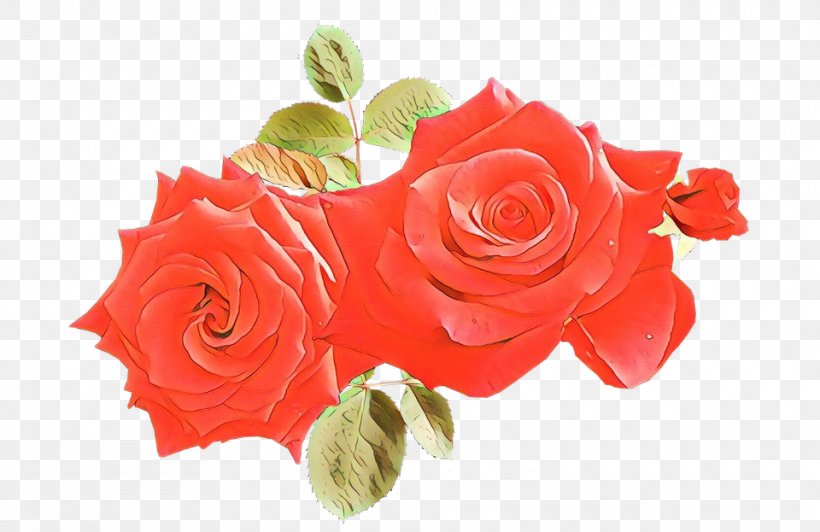 Garden Roses, PNG, 960x623px, Cartoon, Cut Flowers, Flower, Garden Roses, Orange Download Free