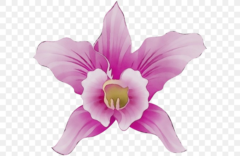 Petal Pink Violet Flower Purple, PNG, 600x535px, Watercolor, Cut Flowers, Flower, Flowering Plant, Lilac Download Free