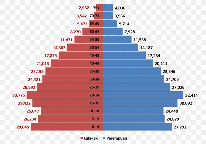 Pontianak Population Pyramid Statistics Indonesia Demography, PNG, 1264x889px, 2016, Pontianak, Age, Area, Chart Download Free