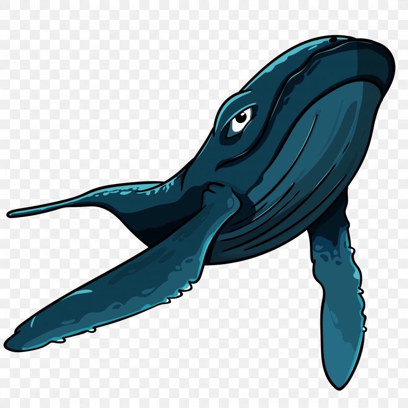 Shark Vector Graphics Blue Whale Euclidean Vector Whales, PNG, 2150x2150px,  Shark, Animal, Animal Figure, Animation, Art