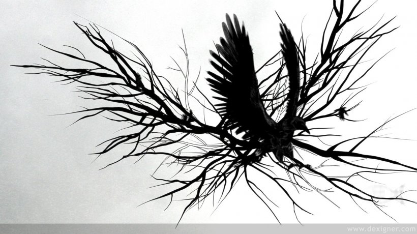 Crows MTV Live HD Psyop Viacom Media Networks, PNG, 1916x1076px, Crows, Black And White, Branch, Cmt, Documentary Film Download Free