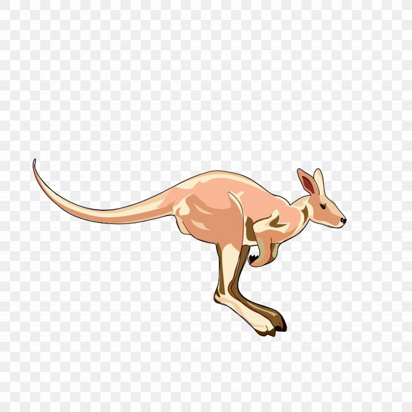 Kangaroo Clip Art, PNG, 5000x5000px, Kangaroo, Dog Like Mammal, Fauna, Macropodidae, Mammal Download Free