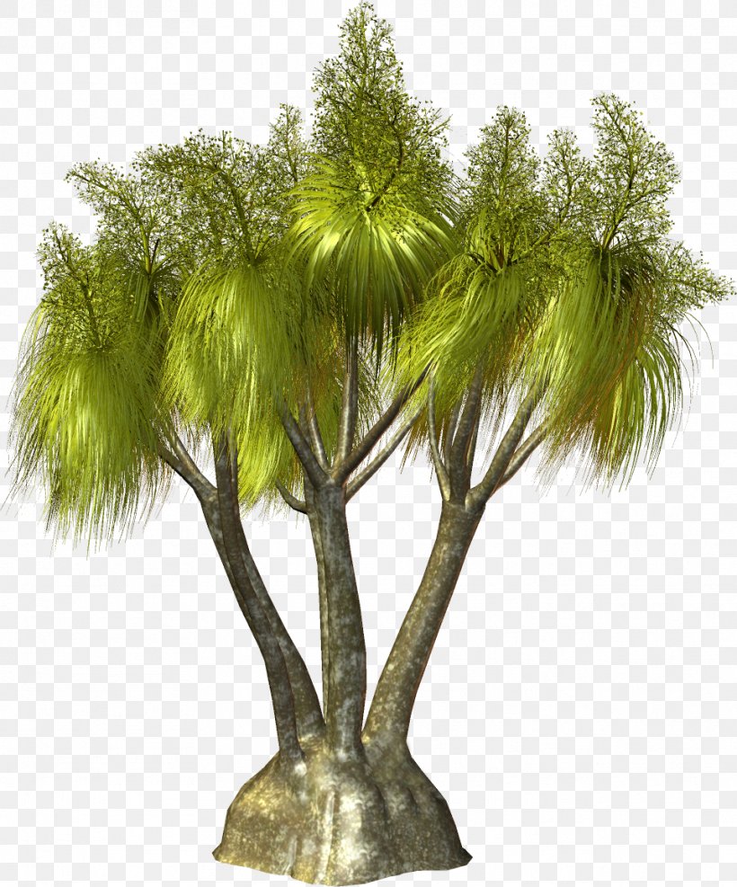 Tree Arecaceae Plant Clip Art, PNG, 962x1158px, Tree, Animation, Arecaceae, Arecales, Branch Download Free