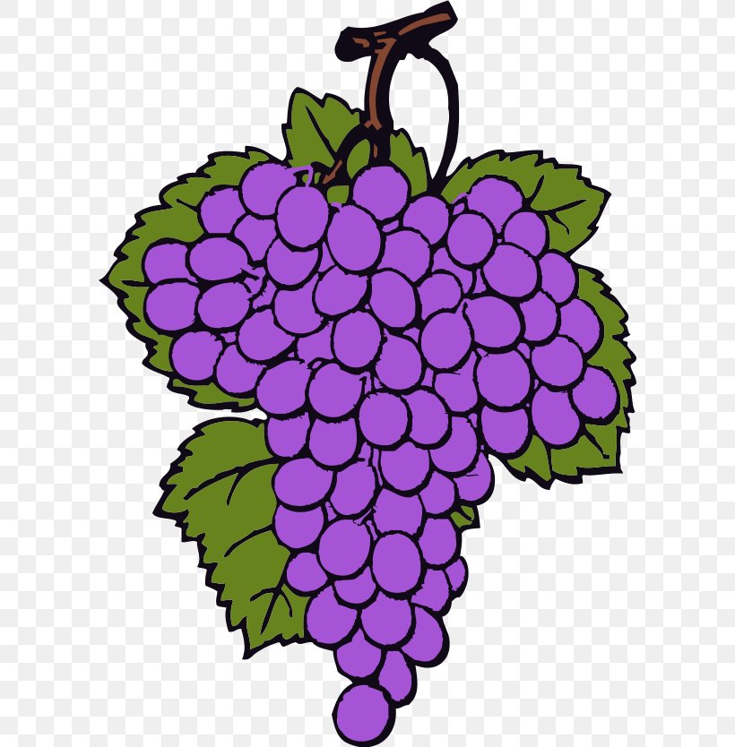 Wine Common Grape Vine Grappa Brandy Clip Art, PNG, 600x834px, Wine, Art, Blog, Brandy, Common Grape Vine Download Free