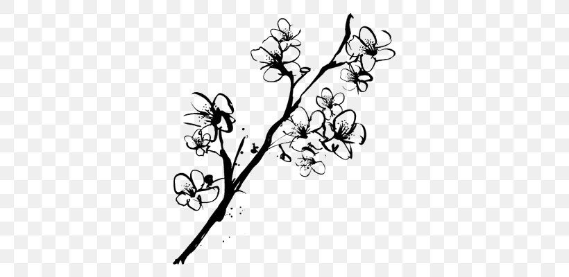Drawing Cherry Blossom Sketch, PNG, 645x400px, Drawing, Art, Artwork, Black, Black And White Download Free