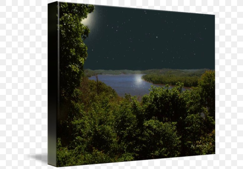 Lake Water Resources Land Lot Inlet Picture Frames, PNG, 650x570px, Lake, Inlet, Land Lot, Landscape, Nature Download Free