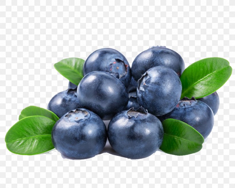 Orange Juice Blueberry, PNG, 1024x819px, Juice, Berry, Bilberry, Blueberry, Blueberry Extract Download Free