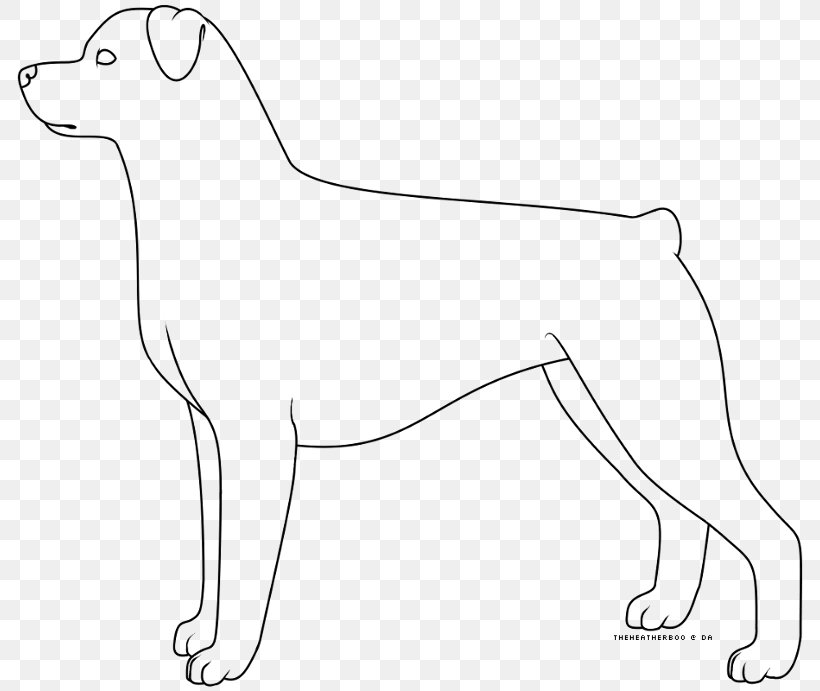 Rottweiler SafeSearch Google Images Google Search, PNG, 800x691px, Rottweiler, Animal, Artwork, Black And White, Canidae Download Free