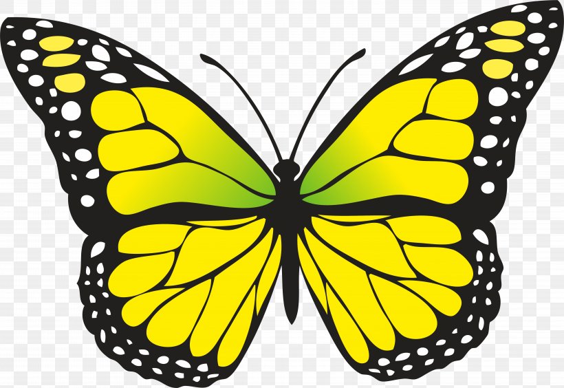 Butterfly Clip Art, PNG, 5858x4030px, Butterfly, Arthropod, Black And White, Brush Footed Butterfly, Color Download Free