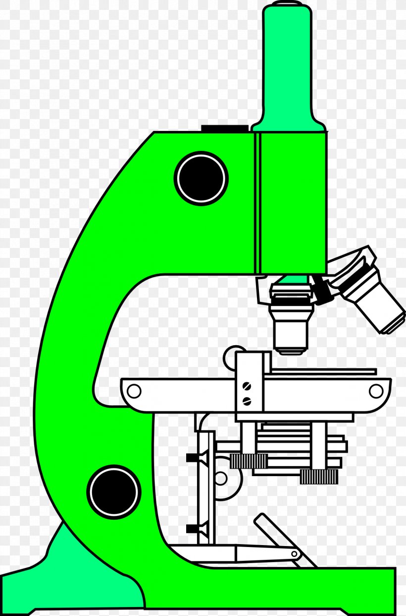 Optical Microscope Coloring Book Drawing Clip Art, PNG, 1267x1920px, Microscope, Adult, Area, Artwork, Color Download Free