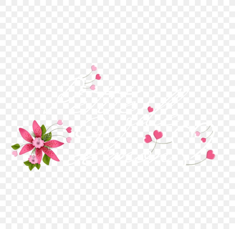Petal Flower Floral Design Desktop Wallpaper, PNG, 800x800px, Petal, Blossom, Branch, Cherry Blossom, Computer Download Free