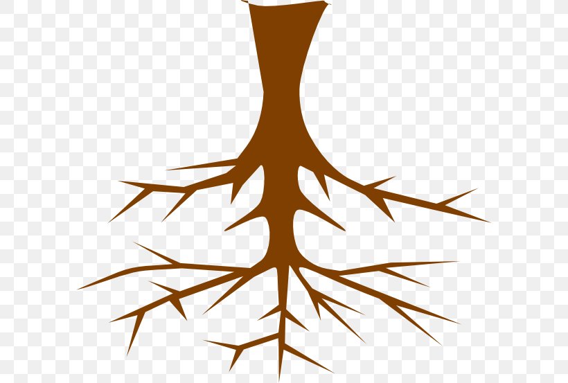 Root Tree Clip Art, PNG, 600x553px, Root, Art, Branch, Drawing, Istock Download Free