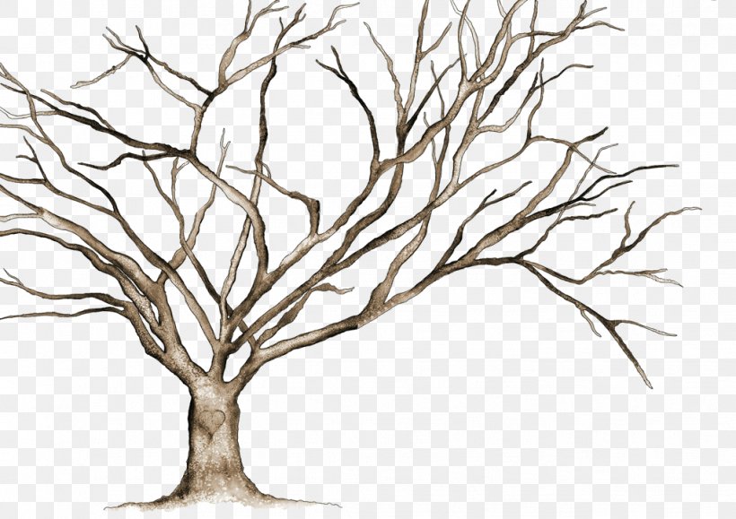 Tree Clip Art, PNG, 1021x721px, Tree, Art, Artwork, Black And White, Branch Download Free