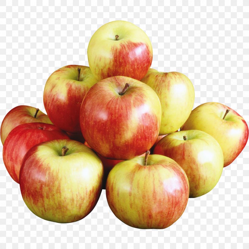 Aport Apple Kompot Fruit Salad, PNG, 1000x1000px, Aport Apple, Antonovka, Apple, Apple Sauce, Apples Download Free
