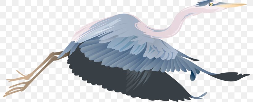Crane Bird Clip Art, PNG, 800x331px, Crane, Beak, Bird, Cartoon, Feather Download Free