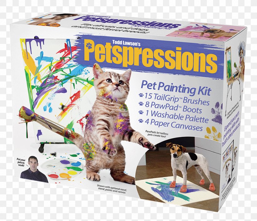 Practical Joke Decorative Box Gift Humour, PNG, 1000x860px, Practical Joke, Birthday, Box, Cat, Cat Like Mammal Download Free