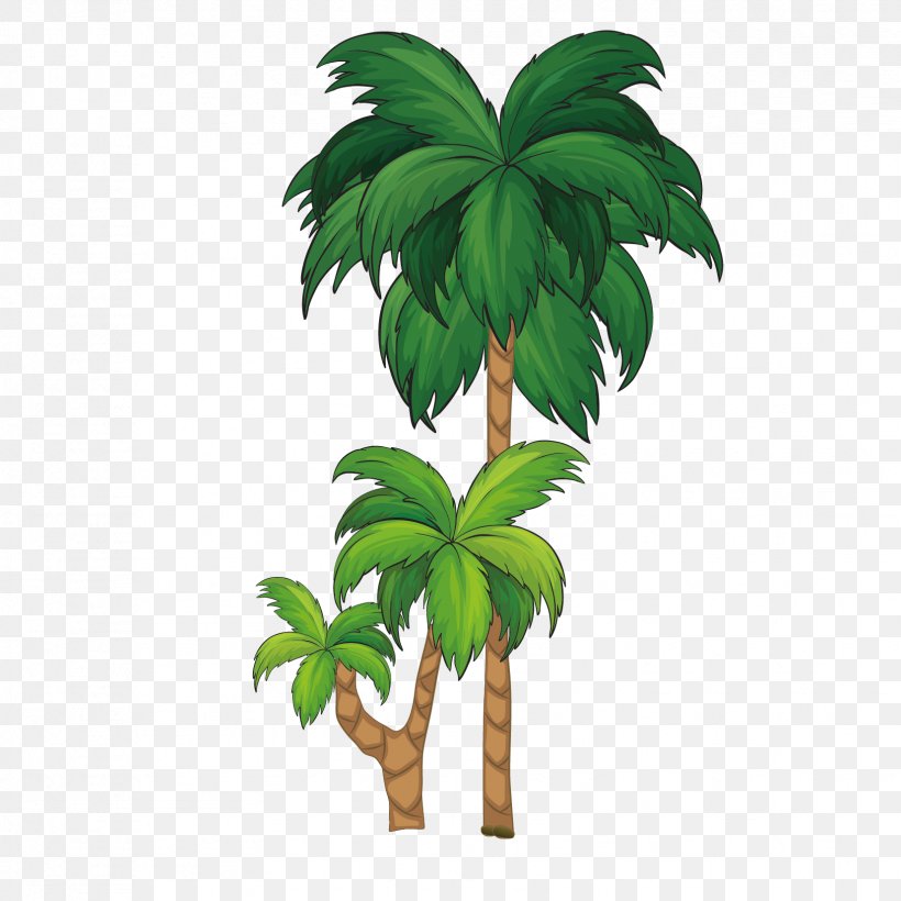 Arecaceae Tree Royalty-free Illustration, PNG, 1654x1654px, Arecaceae, Drawing, Flowerpot, Grass, Houseplant Download Free
